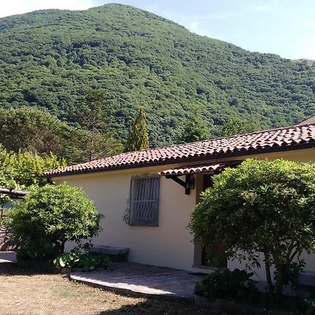 Agriturismo Collevento Trecchina Exteriör bild