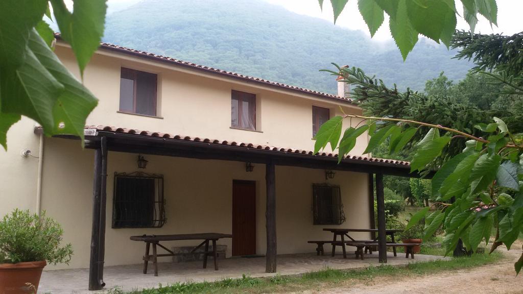 Agriturismo Collevento Trecchina Rum bild