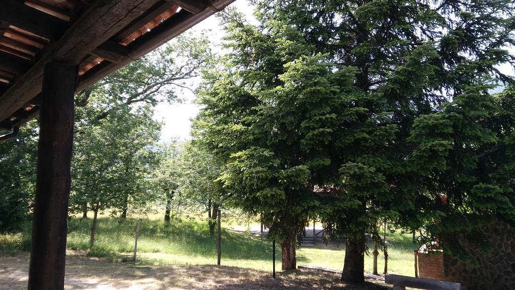 Agriturismo Collevento Trecchina Exteriör bild