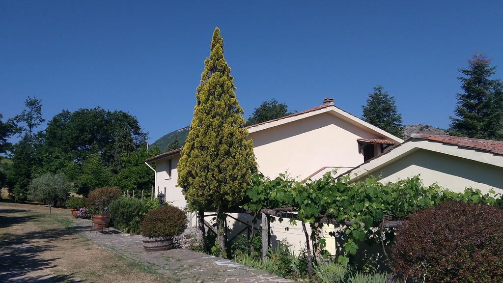 Agriturismo Collevento Trecchina Exteriör bild